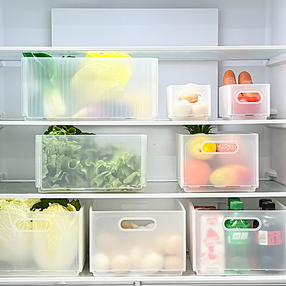 WORTHBUY Kotak Penyimpanan Kul - Food Storage Without Plastic ulasan dan harga