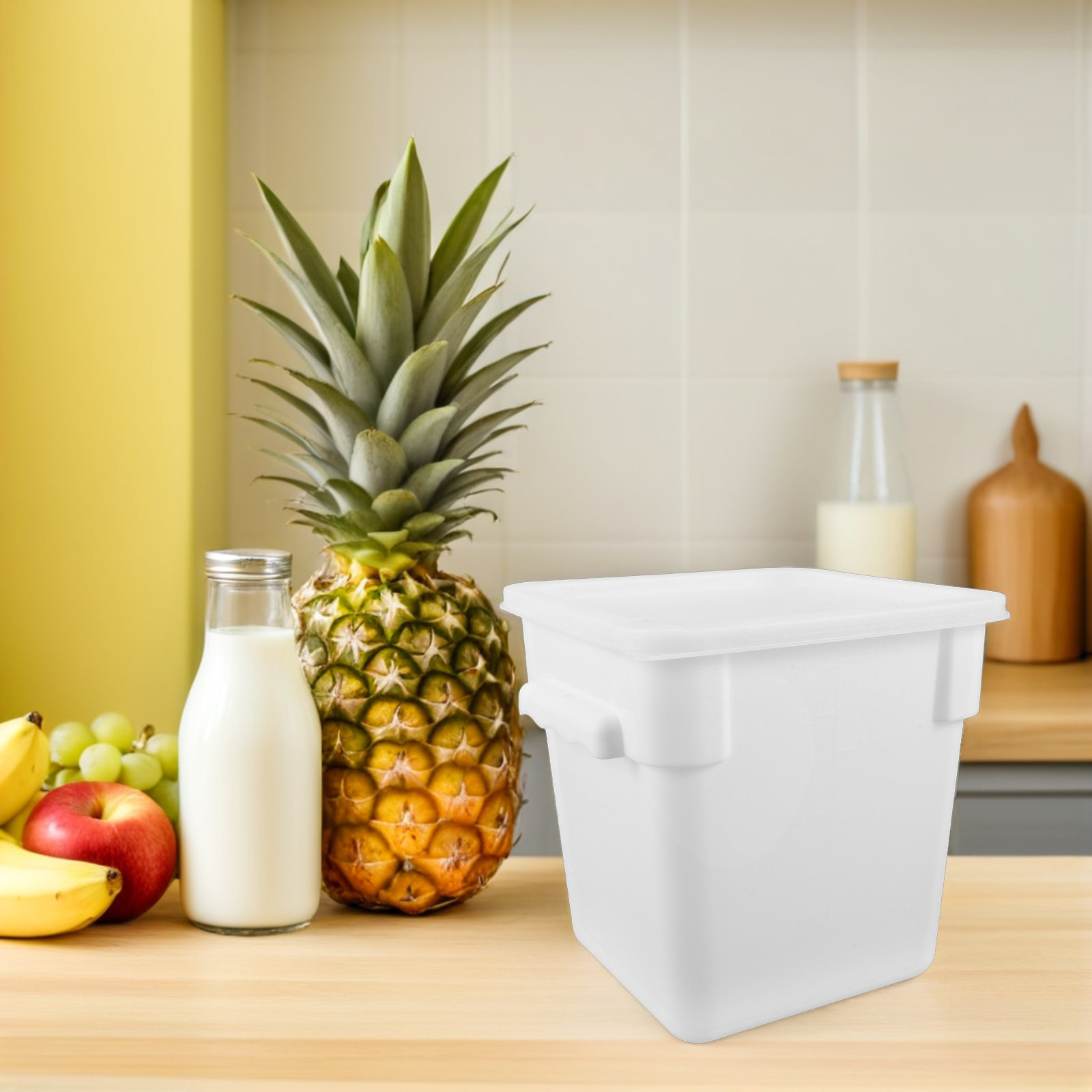 Wadah Penyimpanan Makanan Plas - Food Storage Square Containers ulasan dan harga