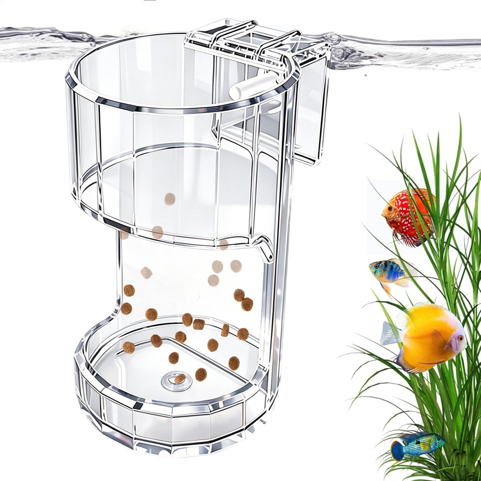 Wadah Makanan Transparan untuk - Food Storage In Room ulasan dan harga