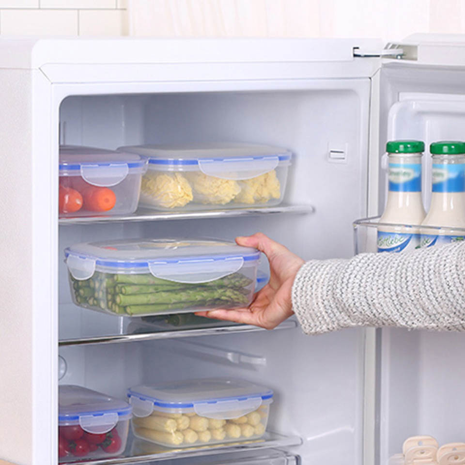 Kotak Makan Siang Plastik untu - Food Storage Tupperware ulasan dan harga
